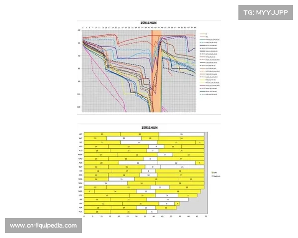 轮胎管理成拉斯维加斯站主题，江胎策略决定名次